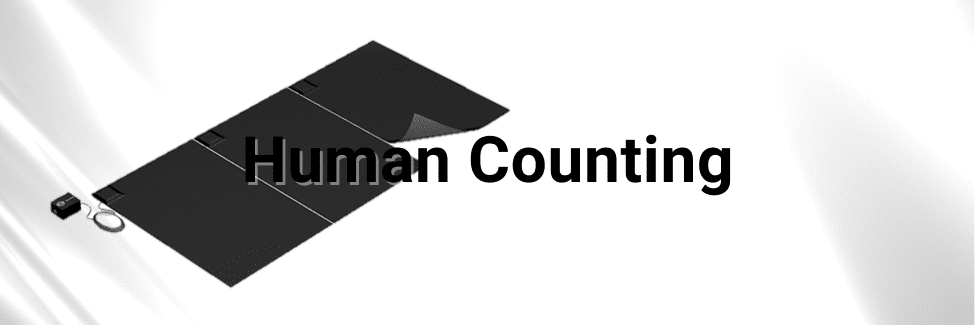Human Counting