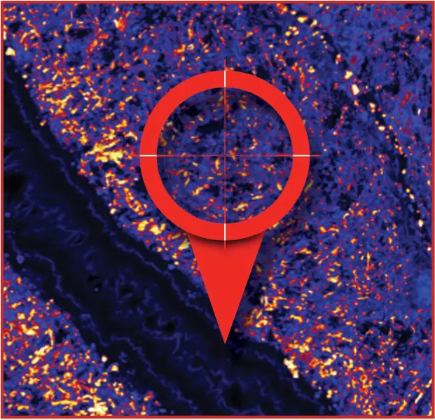 Eine Röntgenfluoreszenzkarte (XFM) für Eisen (Fe). SciAps handheld LIBS ermöglicht nun die gezielte Mikroanalyse geologischer Proben im Feld.